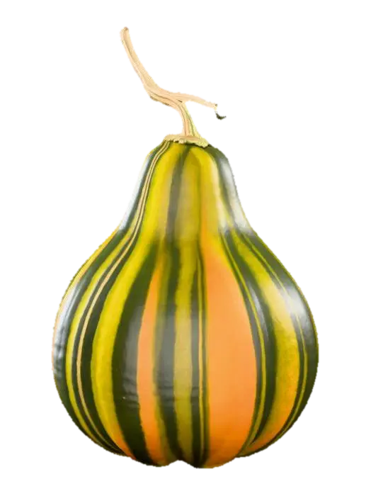 a fall gourd - Virtual 3D model, vytvořený pomocí AI