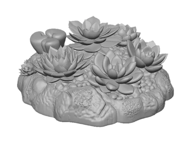3D model for Colorful Succulent Arrangement