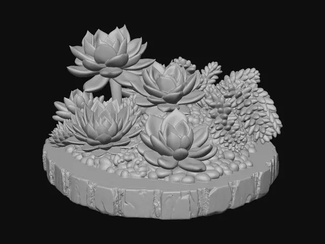3D model for Succulent Harmony