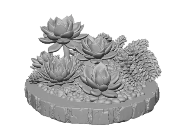 3D model for Succulent Harmony