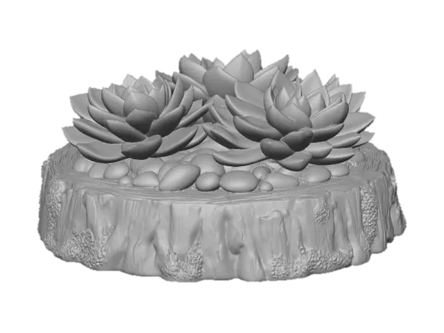 3D model for Succulent Harmony