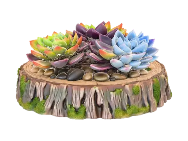 3D model for Succulent Harmony