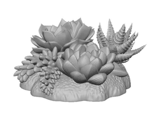 3D model for Succulent Harmony