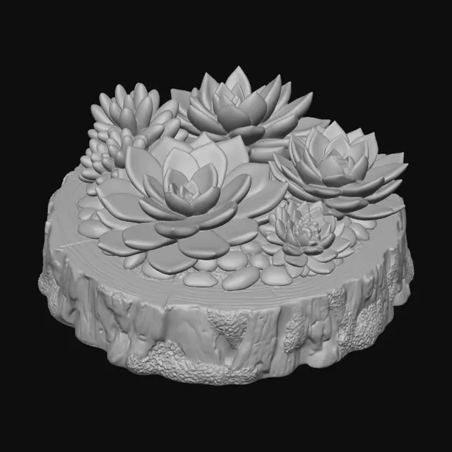 3D model for Succulent Harmony