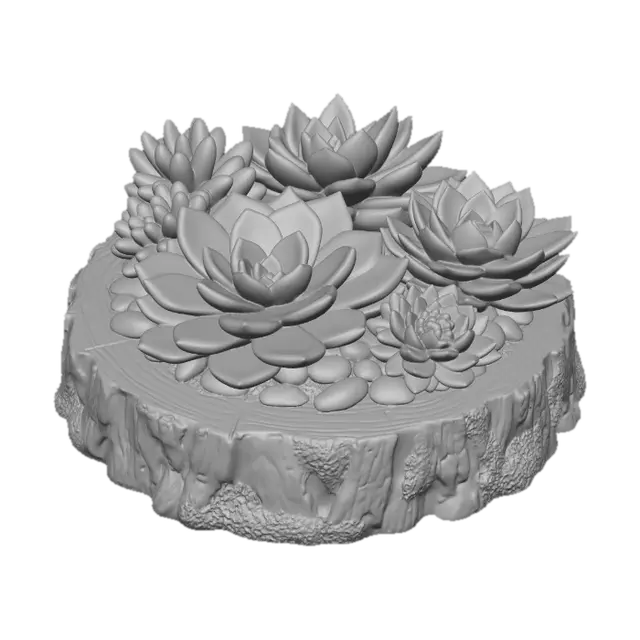 3D model for Succulent Harmony