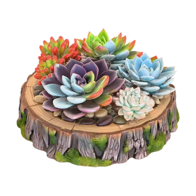 3D model for Succulent Harmony