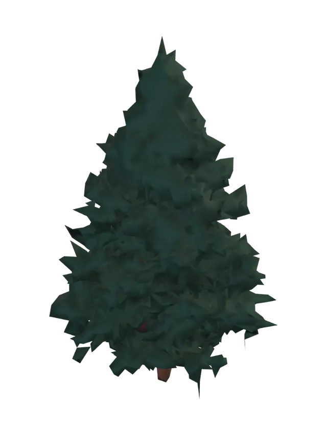 3D model for evergreen