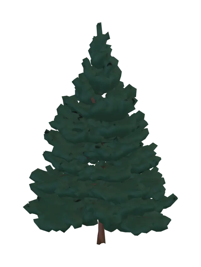 3D model for evergreen