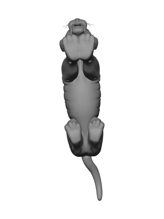 3D model for Dùng **Blender** thì nên triển khai asset hổ theo pipeline này:

**1. Base Mesh & Sculpt**

* Dựng base mesh quad theo reference wireframe: thân dài, vai cao, cổ dày, bàn chân lớn.
* Sculpt thêm form cơ ở vai, ngực, đùi sau, má, mõm, sống mũi, pad chân.
* Giữ topology dày hơn ở: vai, cổ, mí mắt, môi, khóe miệng, bàn chân, gốc đuôi.
* Dùng Multires hoặc sculpt high-poly rồi bake normal/displacement về mesh rig.

**2. UV & Texture**
Chia UDIM giống reference:

* `1001`: đầu, tai, mặt.
* `1002`: thân, chân, đuôi.
* `1003`: miệng, lưỡi, răng, nướu.

Map cần paint/bake:

* `BaseColor`
* `Roughness`
* `Specular`
* `Normal`
* `Displacement`
* `SSS Mask`
* `Hair_Color_Mask`
* `Hair_Density_Mask`
* `Hair_Length_Mask`
* `Stripe_Mask`

Trong Blender shader:

* Da/lông nền: `Principled BSDF`.
* Lông: