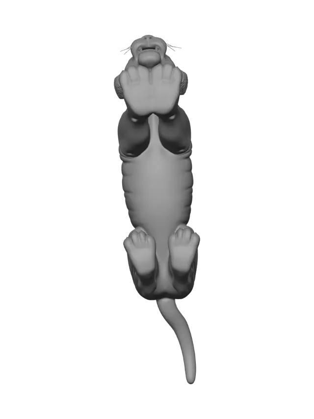 3D model for Dùng **Blender** thì nên triển khai asset hổ theo pipeline này:

**1. Base Mesh & Sculpt**

* Dựng base mesh quad theo reference wireframe: thân dài, vai cao, cổ dày, bàn chân lớn.
* Sculpt thêm form cơ ở vai, ngực, đùi sau, má, mõm, sống mũi, pad chân.
* Giữ topology dày hơn ở: vai, cổ, mí mắt, môi, khóe miệng, bàn chân, gốc đuôi.
* Dùng Multires hoặc sculpt high-poly rồi bake normal/displacement về mesh rig.

**2. UV & Texture**
Chia UDIM giống reference:

* `1001`: đầu, tai, mặt.
* `1002`: thân, chân, đuôi.
* `1003`: miệng, lưỡi, răng, nướu.

Map cần paint/bake:

* `BaseColor`
* `Roughness`
* `Specular`
* `Normal`
* `Displacement`
* `SSS Mask`
* `Hair_Color_Mask`
* `Hair_Density_Mask`
* `Hair_Length_Mask`
* `Stripe_Mask`

Trong Blender shader:

* Da/lông nền: `Principled BSDF`.
* Lông: