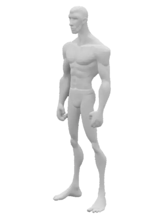 3D model for Animated Strength