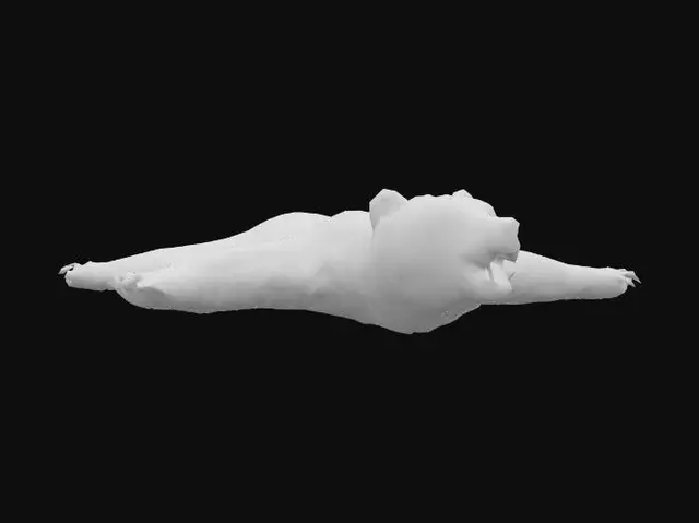 3D model for Bear Spread Out
