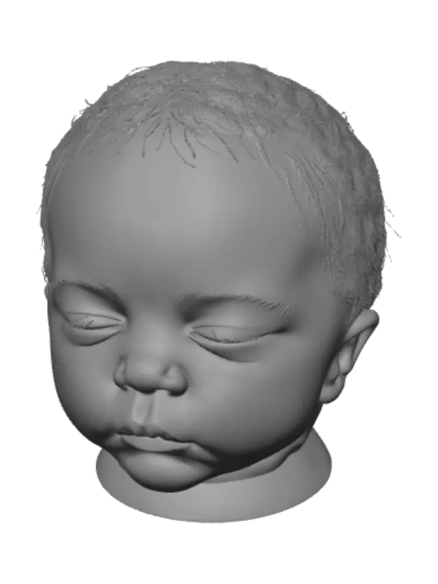3D model for Sleeping Baby Portrait