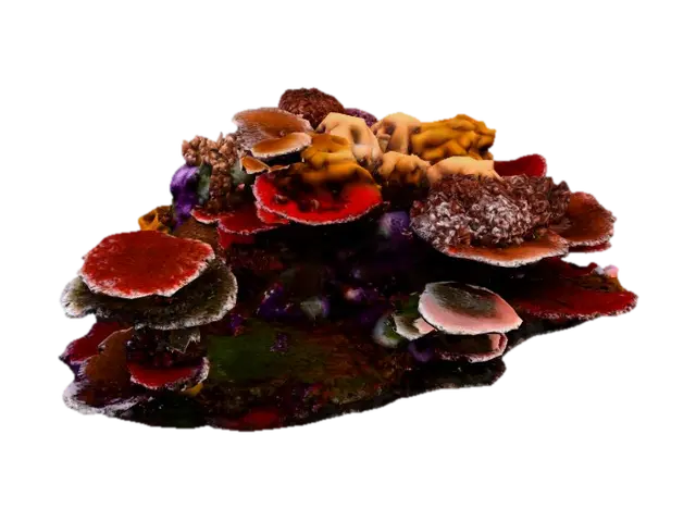 Coral Symphony 3D model, vytvořený pomocí AI