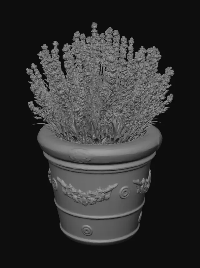 3D model for Lavender in a terracotta pot