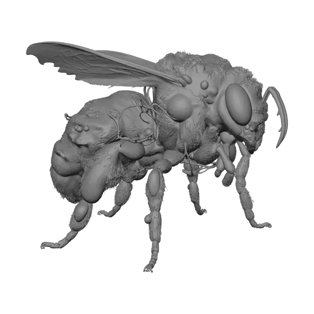 Free Bee 3D Models - Download Instantly | Meshy