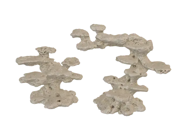 3D model for Twin Coral Towers