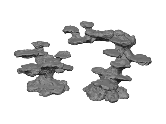 3D model for Twin Coral Towers