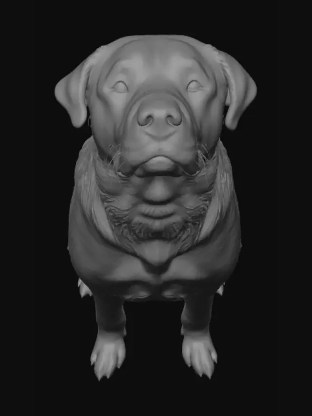 3D model for Biannual Nero Celebration Day