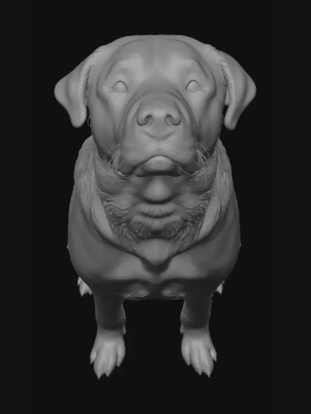 3D model for Biannual Nero Celebration Day