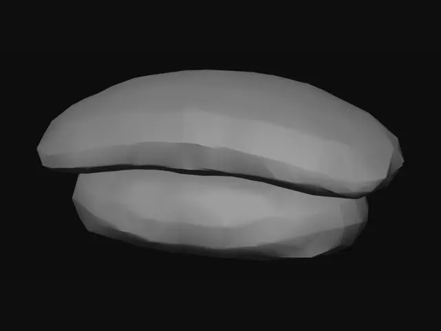 3D model for Salmon Nigiri