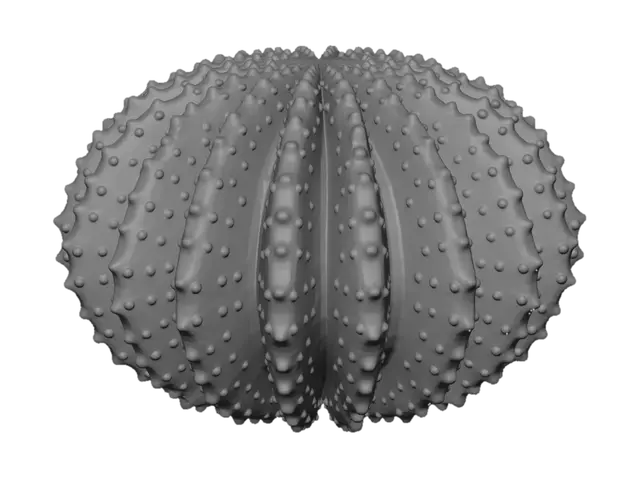 3D model for White Sea Urchin Lampshade