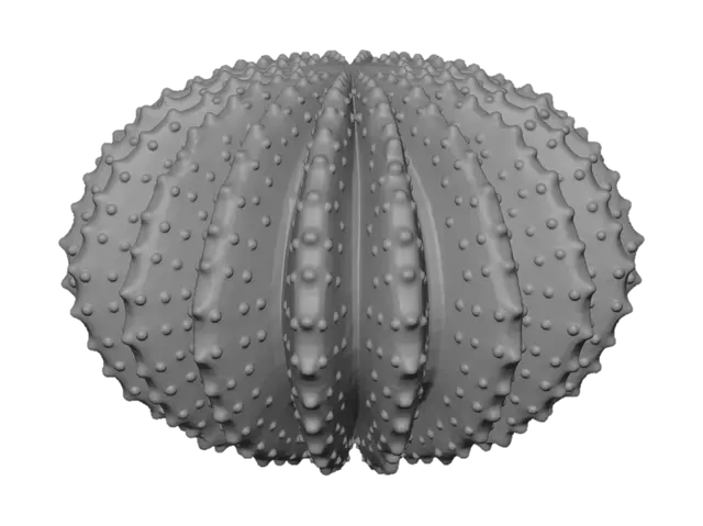 3D model for White Sea Urchin Lampshade