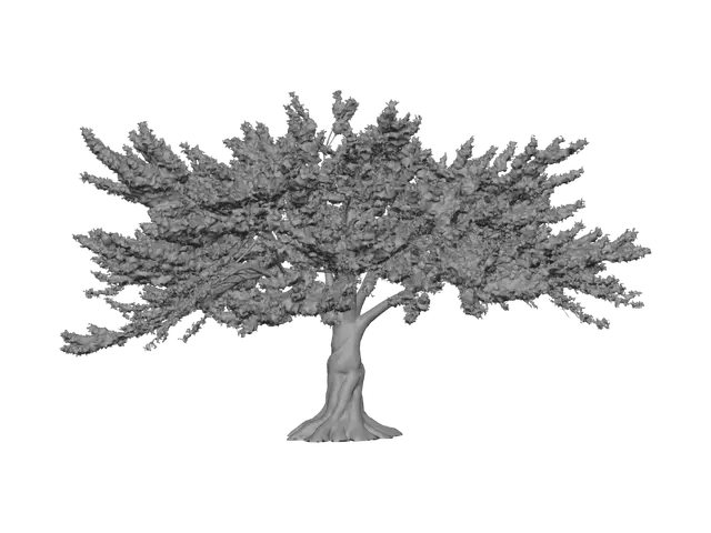 3D model for Cherry Blossom Tree