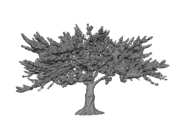 3D model for Cherry Blossom Tree