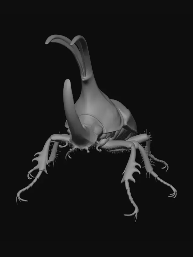 3D model for bug