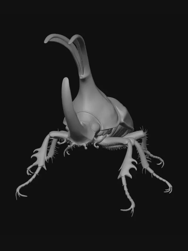 3D model for bug