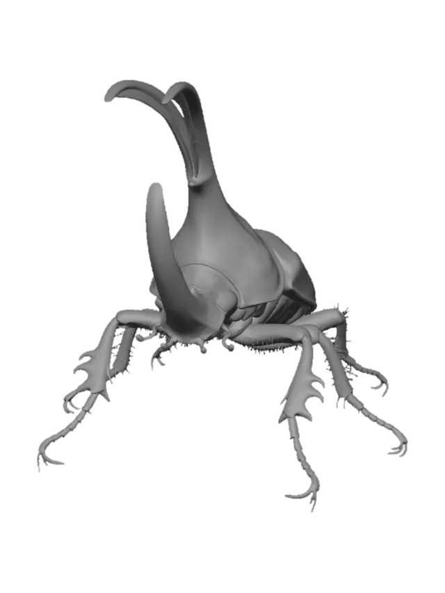 3D model for bug