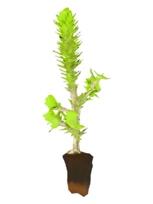 Thistle Seedling 3D model, vytvořený pomocí AI