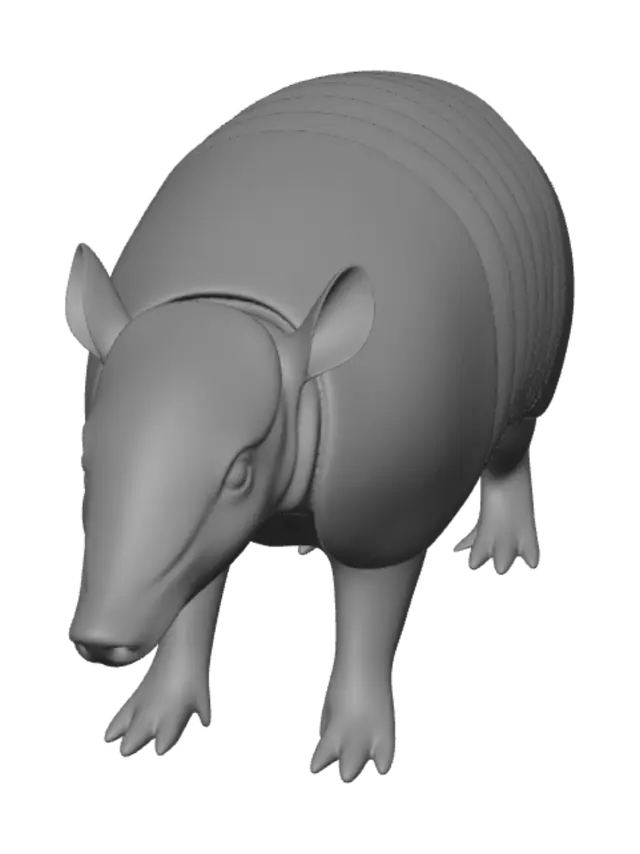 3D model for Ridgeback Armadillo