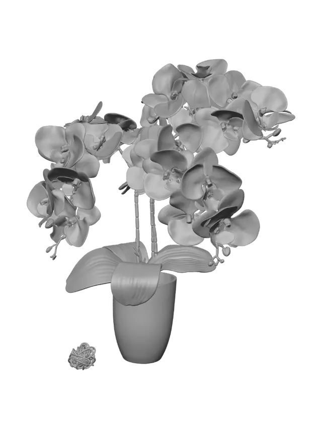 3D model for White Orchid Serenity