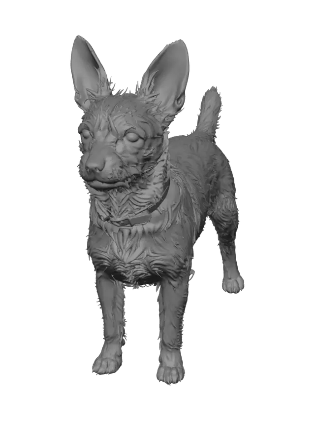 3D model for Curious Canine