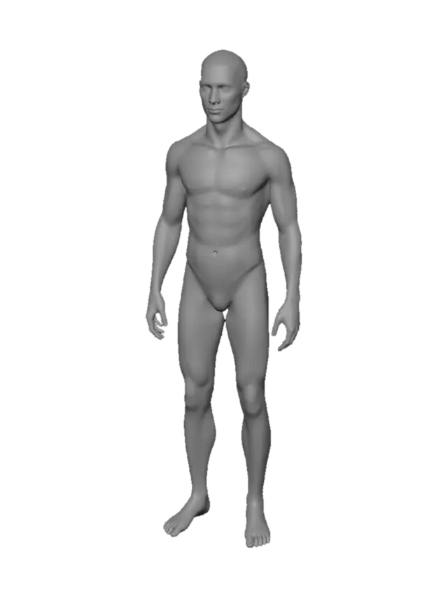 3D model for make me a basic human model ( preferably male ), and make it well optimized.