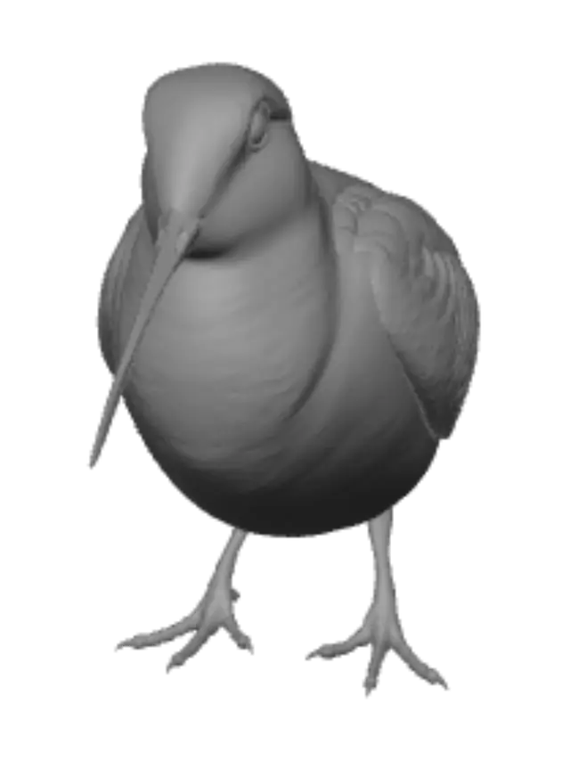 3D model for Patterned Snipe in Profile