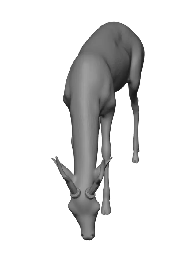 3D model for 