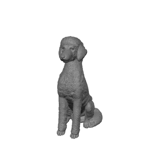 3D model for Grey Poodle in the Park