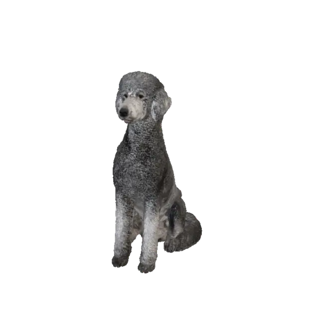3D model for Grey Poodle in the Park