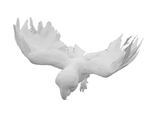 3D model for Parrot
