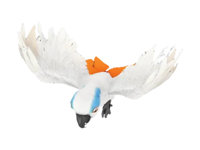 3D model for Parrot