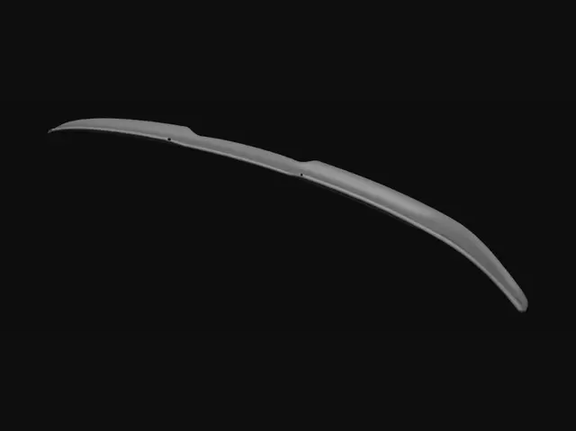 3D model for Curved Wing Mesh