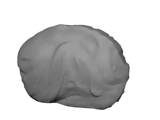 3D model for Marbled Ribeye Steak