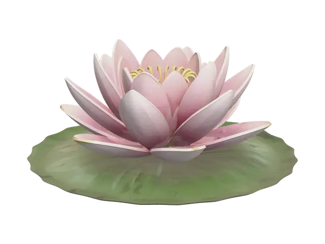 3D model for Stylized Waterlily