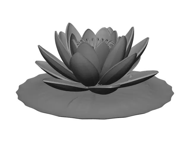 3D model for Stylized Waterlily