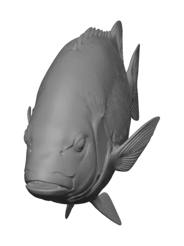 3D model for Nocturne of the Reef