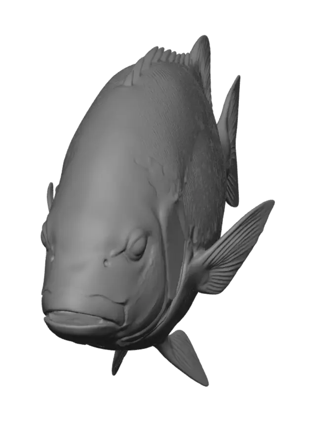 3D model for Nocturne of the Reef