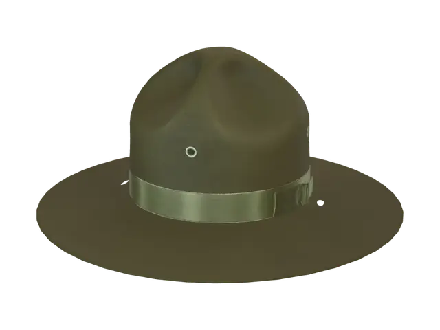 3D model for Brown campaign hat